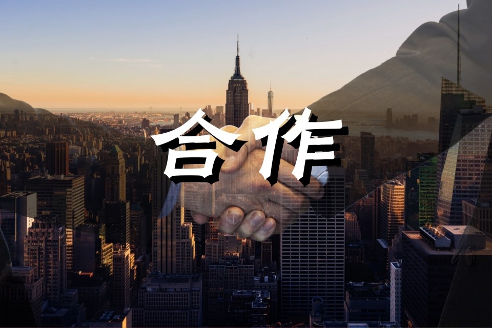 乐视影业